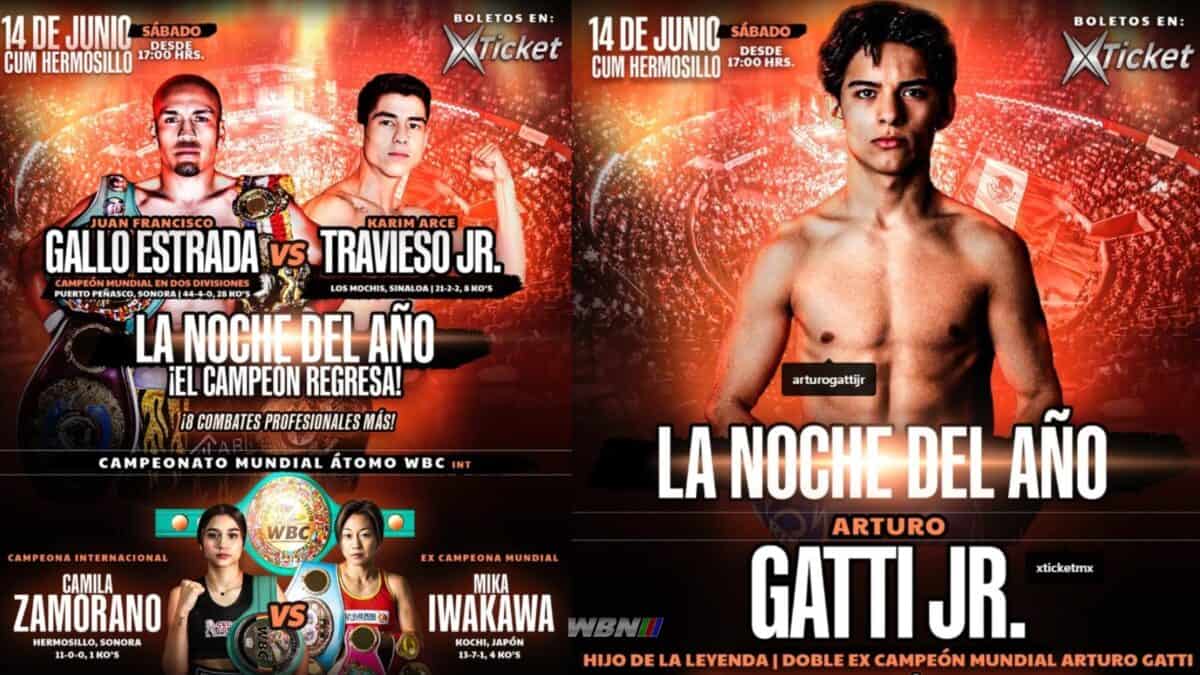 Arturo Gatti Jr estrada