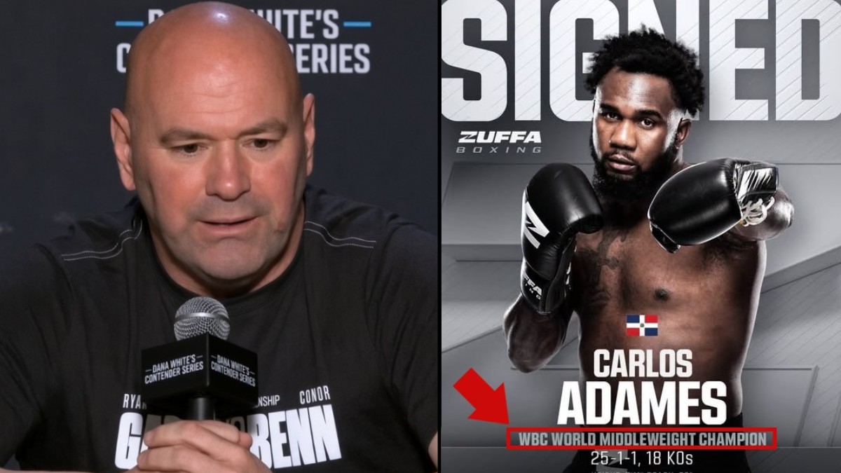 Dana White Rejected Boxing Bodies in 2025, Promotes WBC in 2026